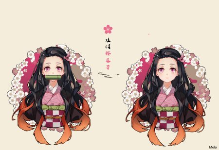 Demon Slayer nezuko Kamado