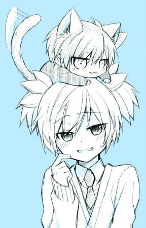 Нагиса Шиота с ушками