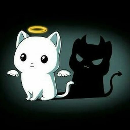 Аниме кот