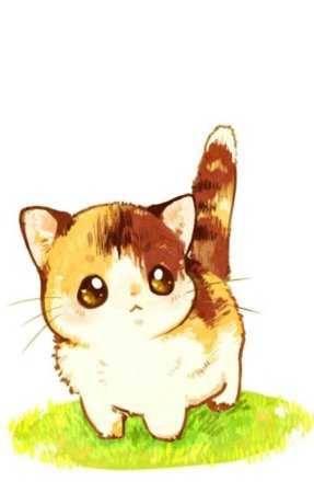 Милый котик рисунок