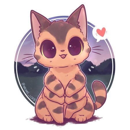 Наоми Лорд котики