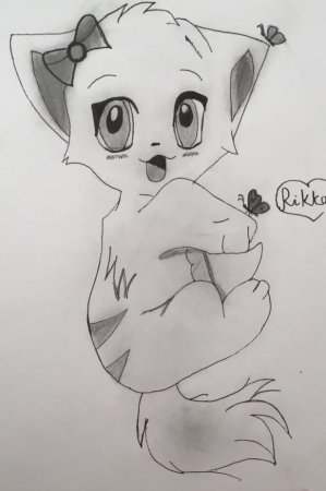 Котики для срисовки карандашом аниме