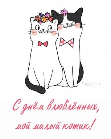 Открытки с днём Святого Валентина с котиками