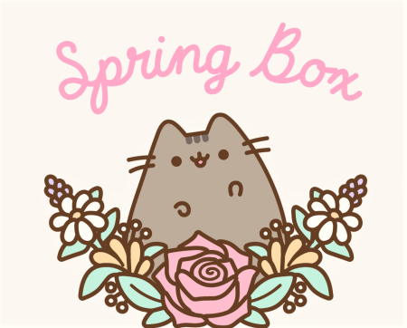 Кот Пушин с цветочком