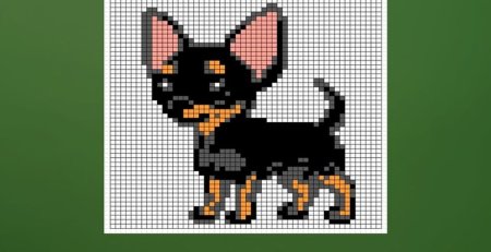 Чихуахуа по клеточкам