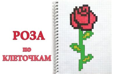 Нарисовать розу по клеточкам