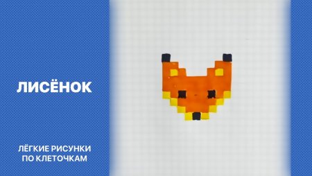 Маленький Лисенок в клетке