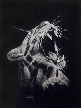 Рисунки белым по черному