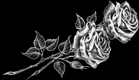 Рисунки белым по черному легкие