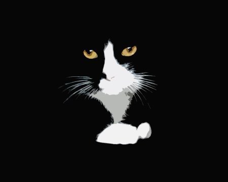 Чёрный кот
