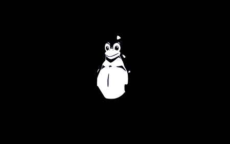 Черный фон Linux