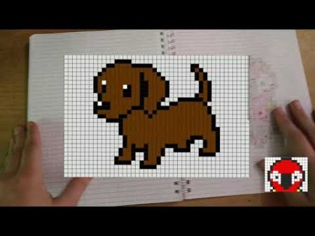 Такса по клеточкам