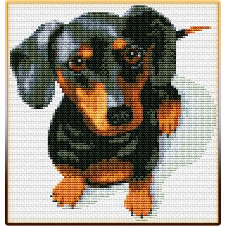 Риолис такса