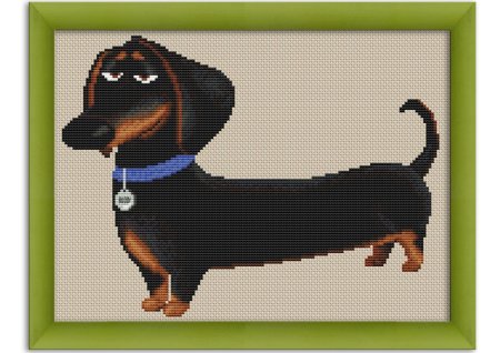 Собачка породы такса Бадди