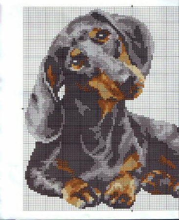 Вышивка крестом таксы схемы Риолис