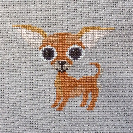 Вышивка чихуахуа