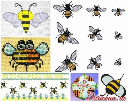 Бискорню пчелы