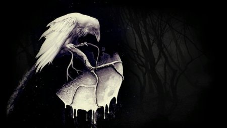 Белая ворона арт