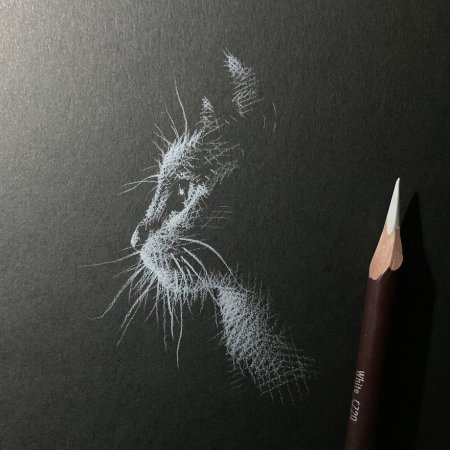 Рисунки на черной бумаге