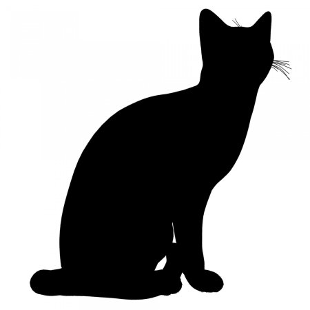 Кот сидит силуэт