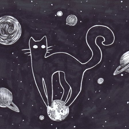 Котик в космосе