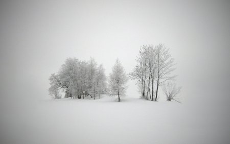 Заснеженный пейзаж