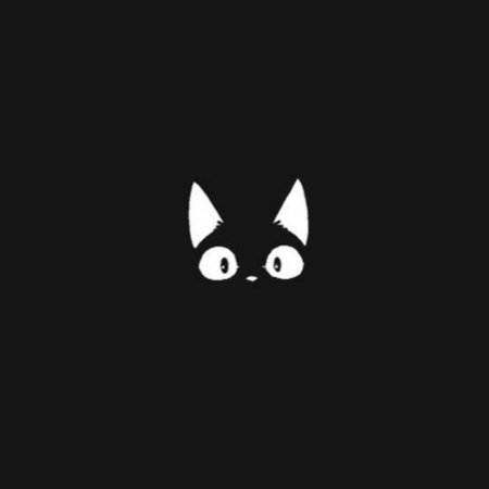 Котенок на черном фоне