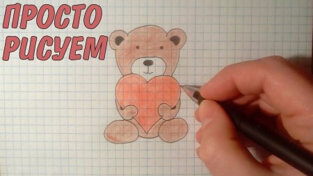 Нарисованные мишки в тетради