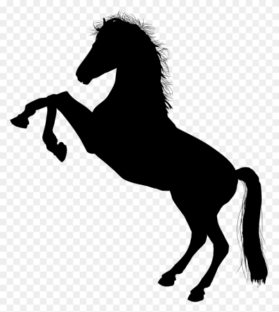 Черный конь на белом фоне рисунок (50 фото)