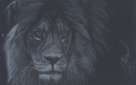 Картины пастелью на черном фоне