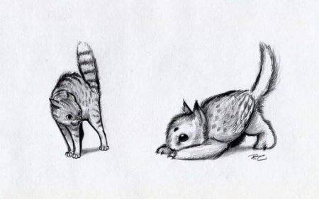 Необычные животные рисунки