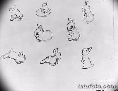 Зарисовка маленький кролик