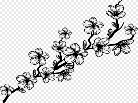 Рисунки на белом фоне черным цветом цветы (49 фото)