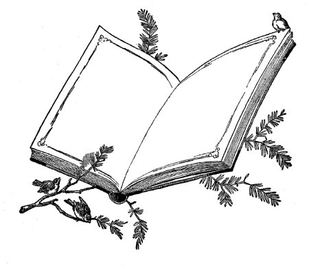 Книжка рисунок карандашом