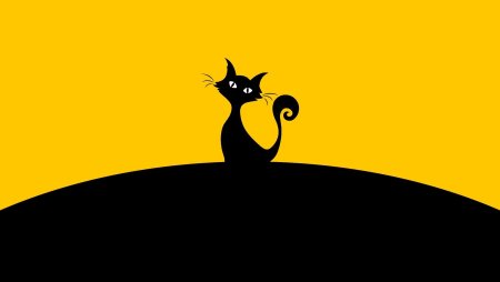 Черный кот на желтом фоне