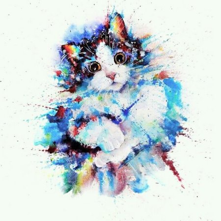 Акварельный котенок