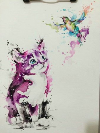 Коала эскиз