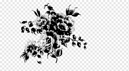 Цветы черно-белые на прозрачном фоне
