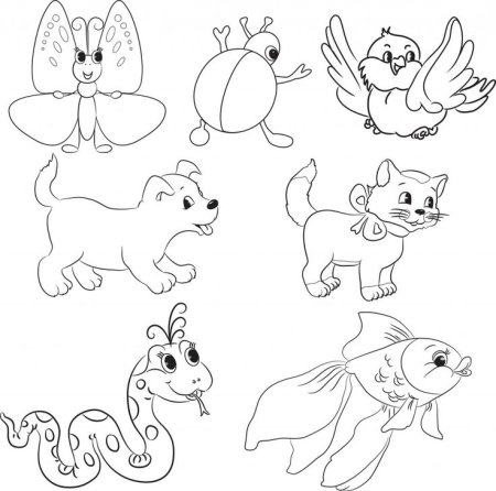 Раскраски звери птицы насекомые