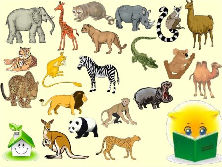 Для детей. Животные