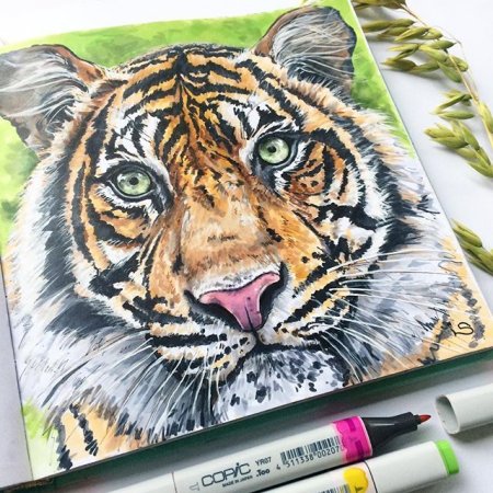 Рисунки для срисовки фломастерами легкие