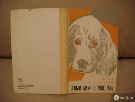Белый Бим черное ухо рисунок