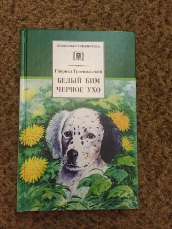 «Белый Бим, черное ухо», г.н. Троепольский