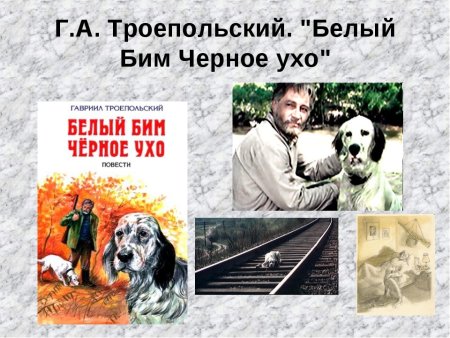 «Белый Бим, чёрное ухо» г.н. Троепольского