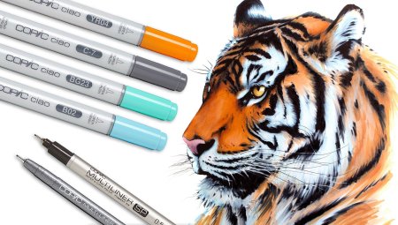 Рисунки фломастерами