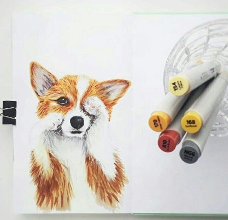 Рисунки животных для скетчбука