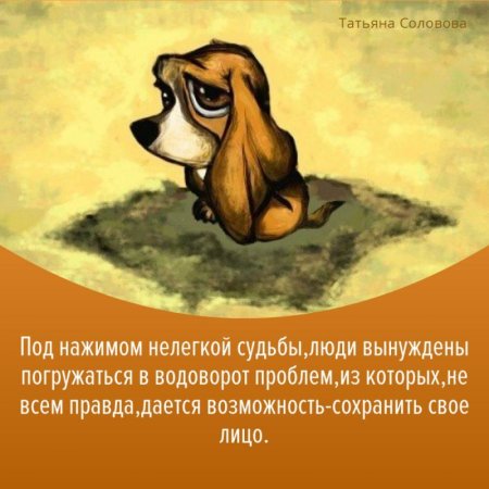 Грустная собака