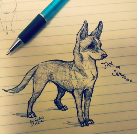 Скетчи в скетч бук животные дёгкие