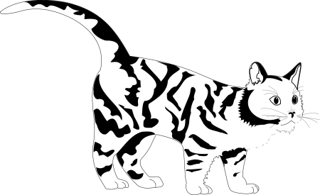 Тигр. Раскраска