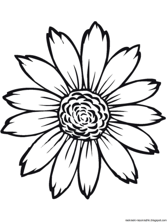 Цветок Ромашка раскраска для детей